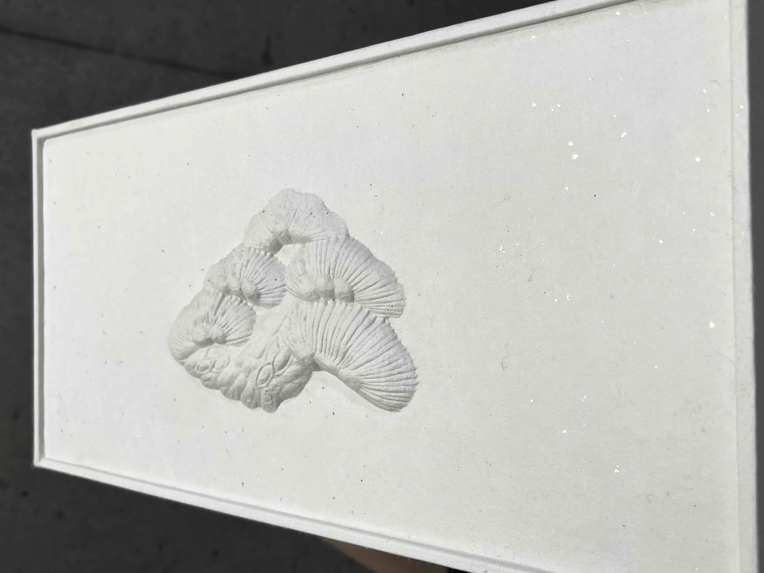 斜め（金砂子）